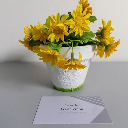 Apartment Casa Da Ponte Velha