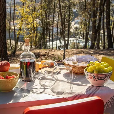 Casa Da Ponte Velha * Termas de Sao Pedro do Sul