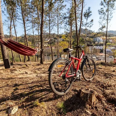 Apartment Casa Da Ponte Velha Termas de Sao Pedro do Sul