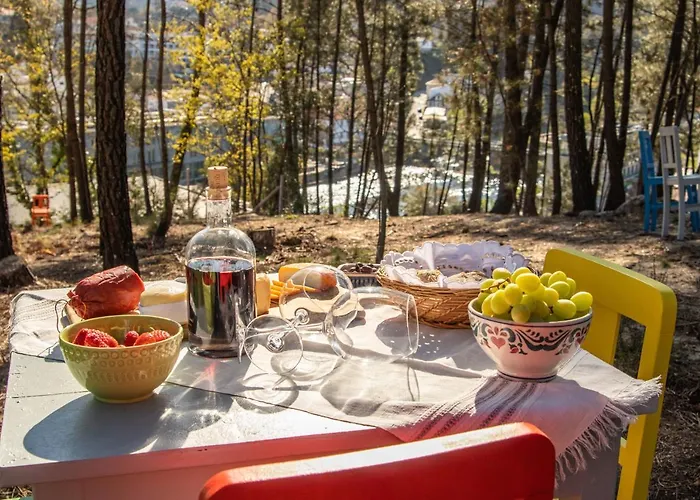 Casa Da Ponte Velha * Termas de São Pedro do Sul