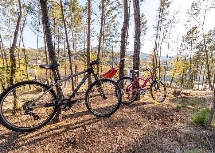 Casa Da Ponte Velha * Termas de São Pedro do Sul
